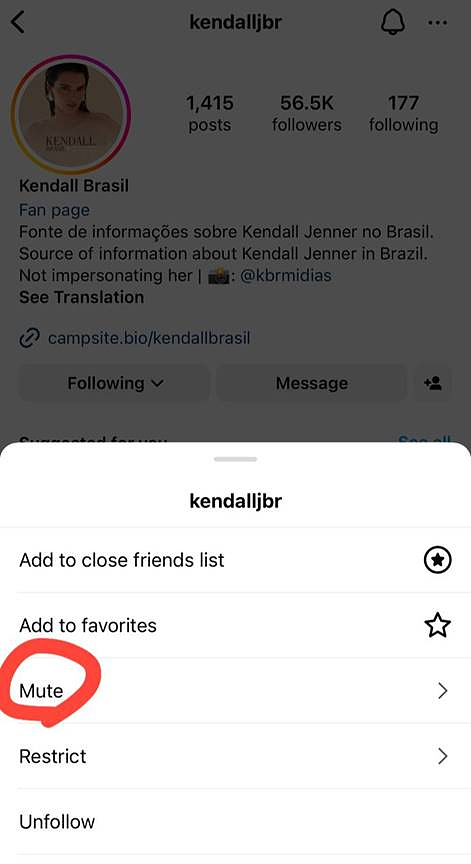 How to Mute Someone on Instagram-step2