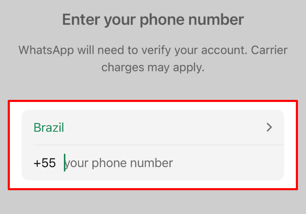 enter phone number WhatsApp