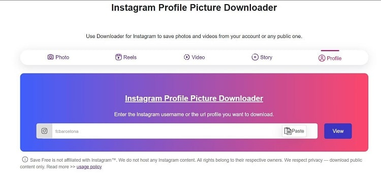 استفاده از سایت instagramdownloads برای دانلود پروفایل اینستاگرام