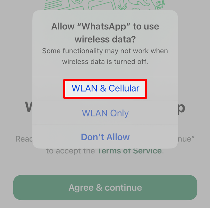 allow WhatsApp lan