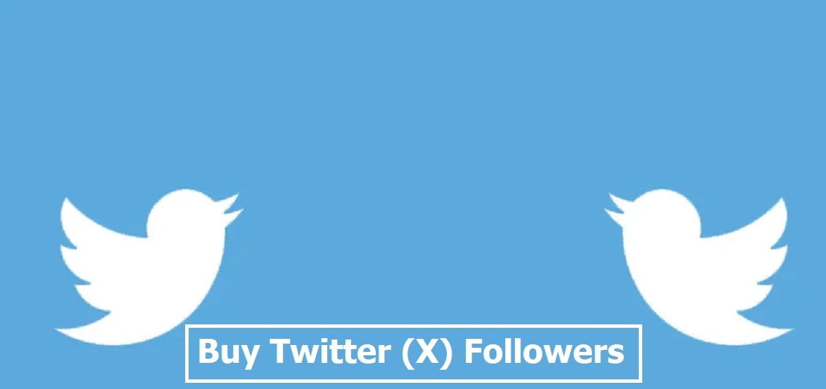 Buy Twitter (X) Followers