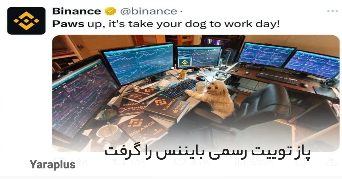 توییت رسمی بایننس برای Paws