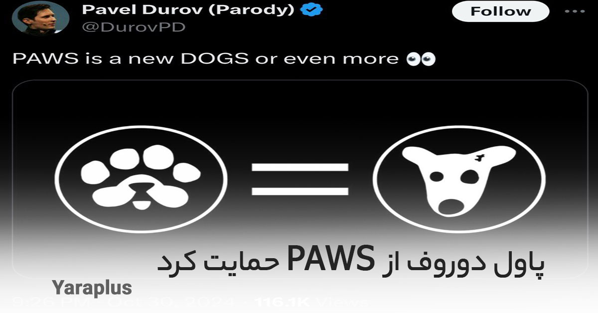 پاول دوروف از ایردراپ PAWS حمایت کرد