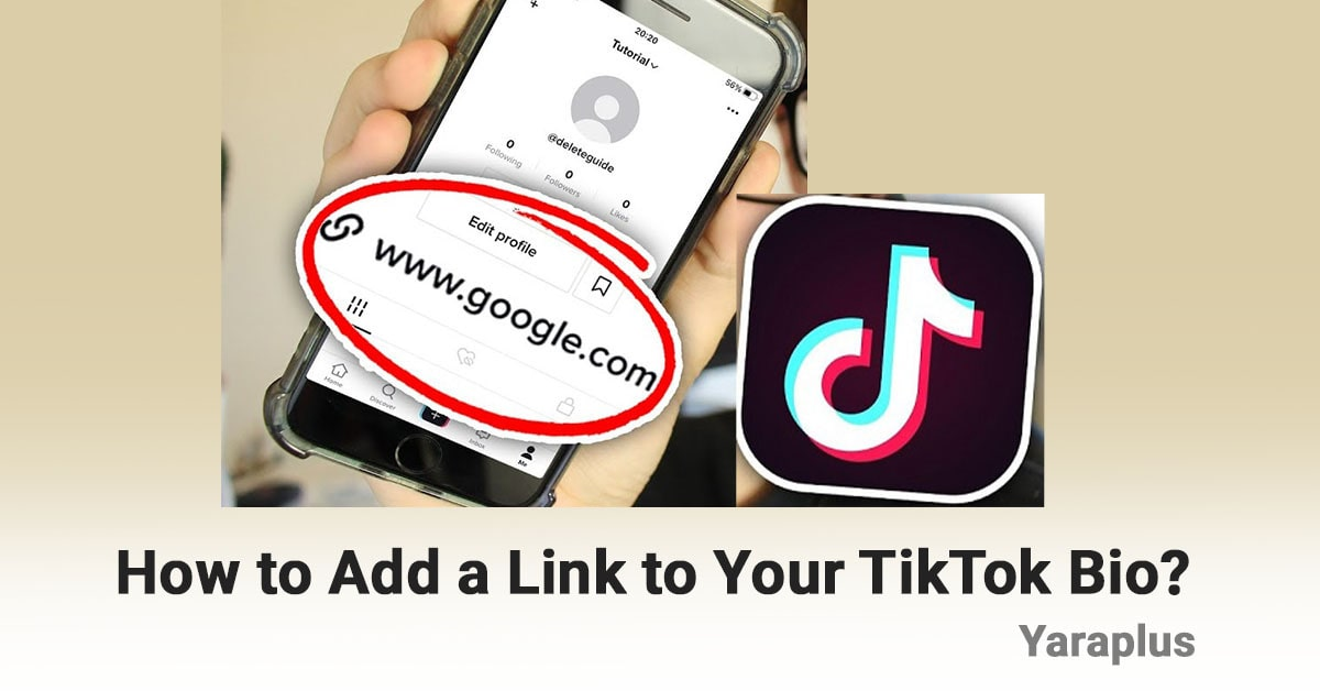 How to Add a Link to Your TikTok Bio?