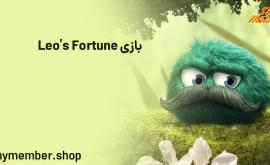 بازی Leo's Fortune