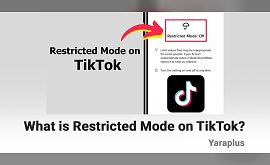 Restricted Mode on TikTok