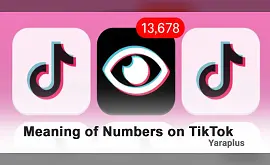 Meaning of Numbers on TikTok