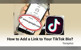 How to Add a Link to Your TikTok Bio?