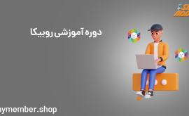 دوره آموزشی روبیکا