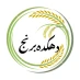 پیج اینستاگرام دهکده برنج